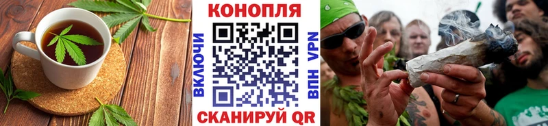 darknet телеграм  гидра как войти  Cannafood марихуана  Светлый  наркотики 