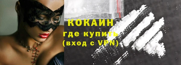 спиды Богданович
