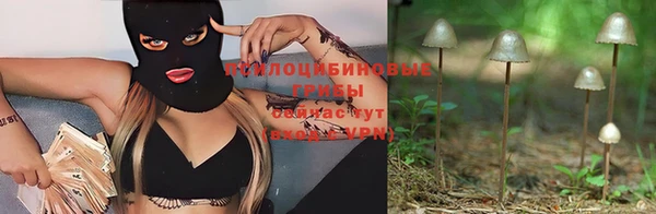 гидропоника Богородск