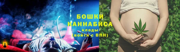 спиды Богданович