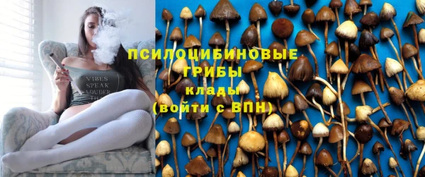 спиды Богданович
