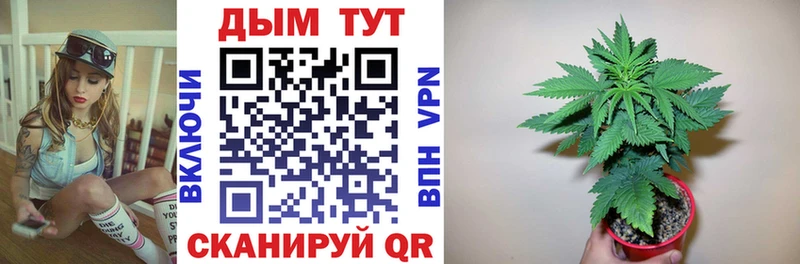 Канабис OG Kush  закладки  Светлый 